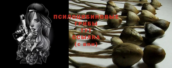 соль ск Медногорск