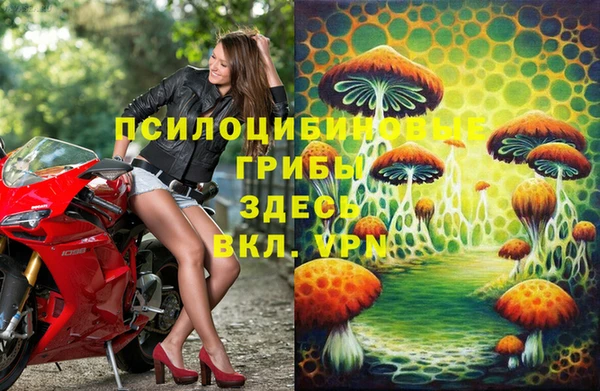 стафф Абаза