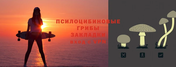 соль ск Медногорск