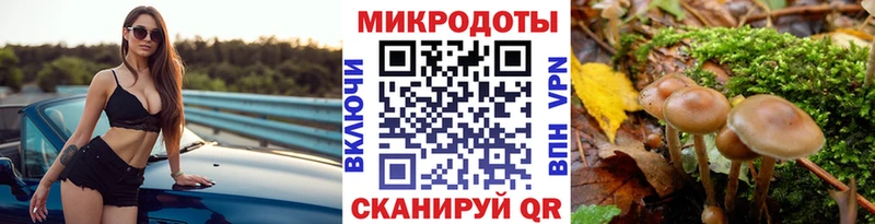 как найти наркотики  Тольятти  Псилоцибиновые грибы Cubensis 